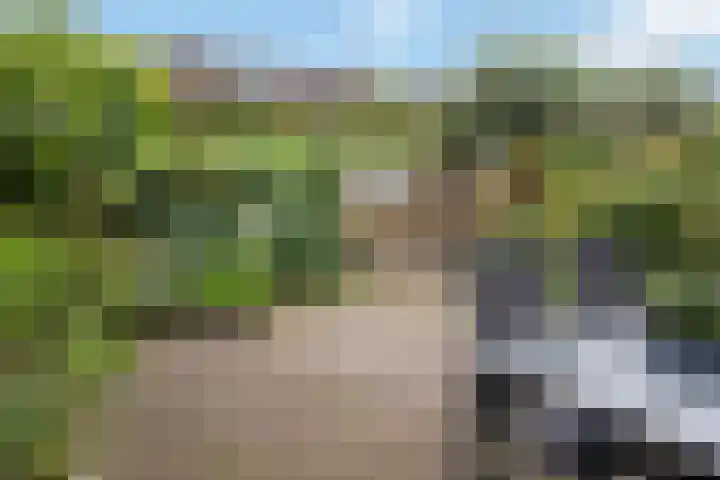 Bovenmonde 28 Nieuwegein thumbnail 41