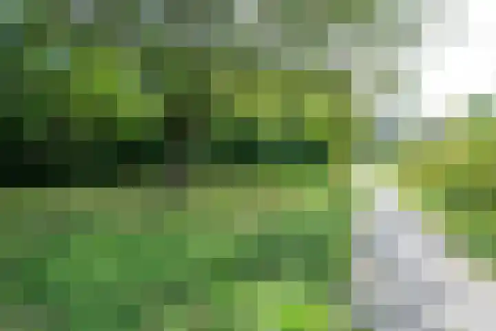 Bovenmonde 3 Nieuwegein thumbnail 58
