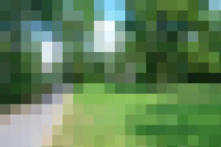 Bovenmonde 3 Nieuwegein thumbnail 59