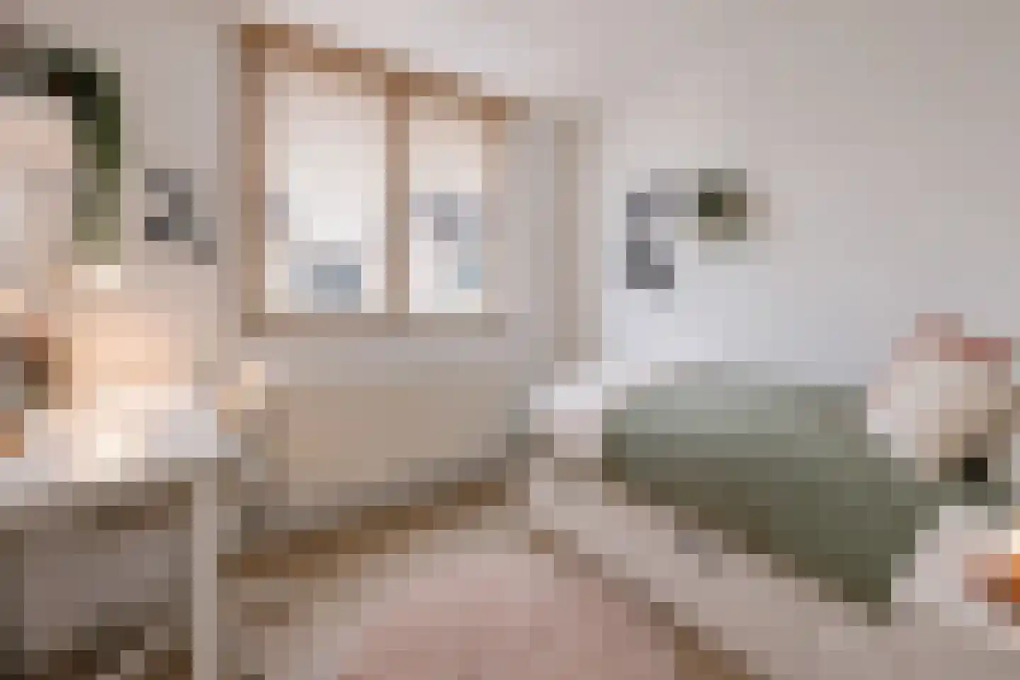 Bovenmonde 33 Nieuwegein thumbnail 43