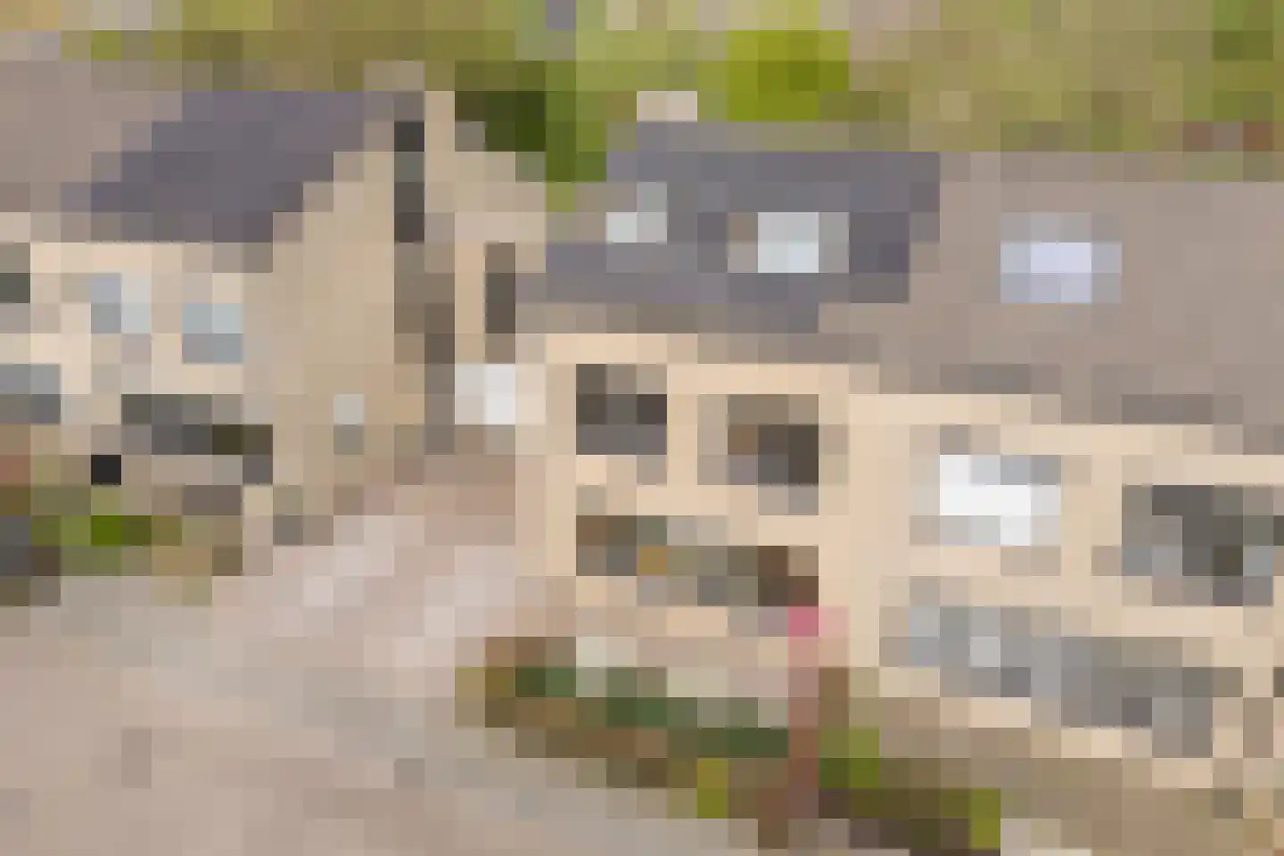 Bovenmonde 33 Nieuwegein thumbnail 50