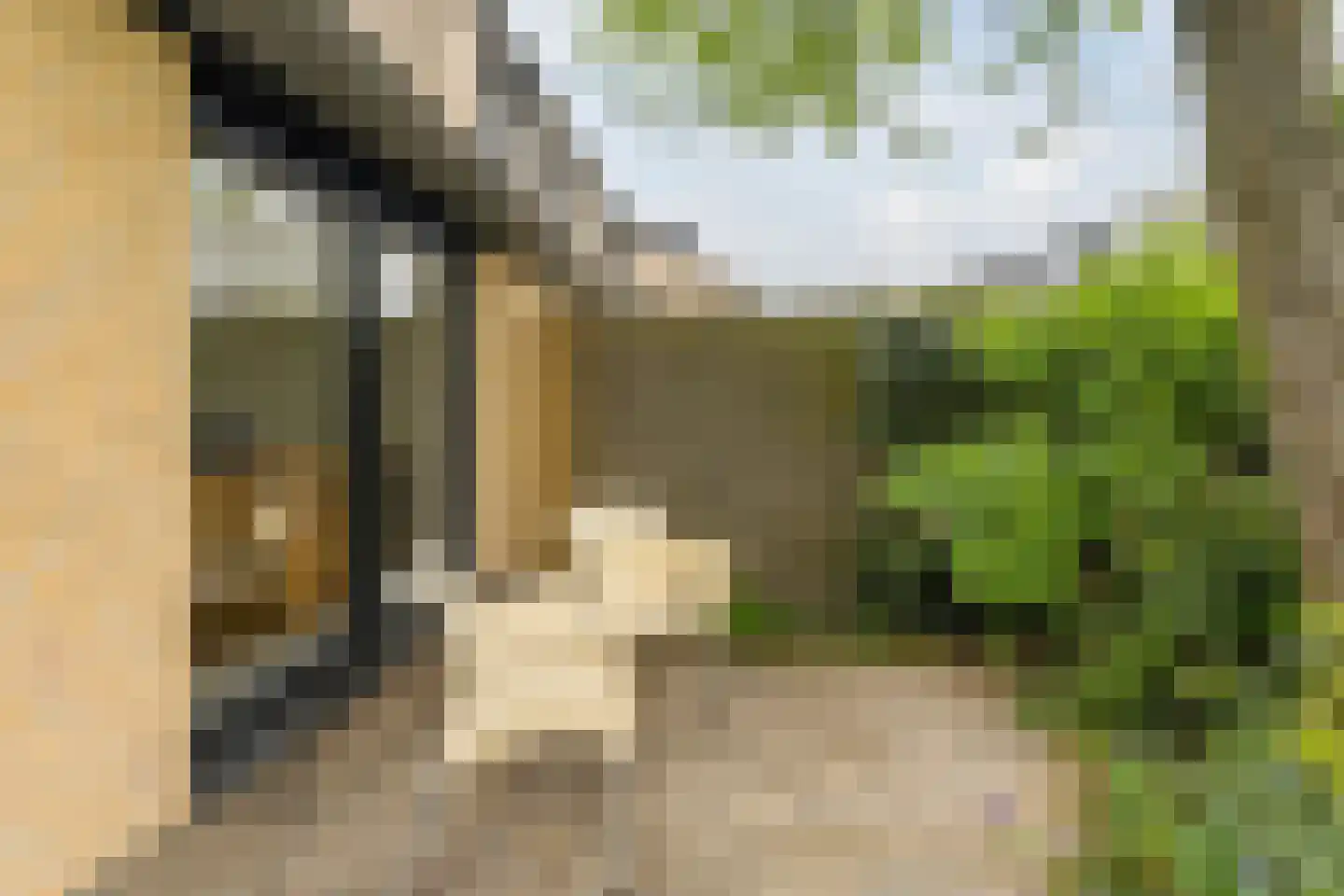 Bovenmonde 33 Nieuwegein thumbnail 61