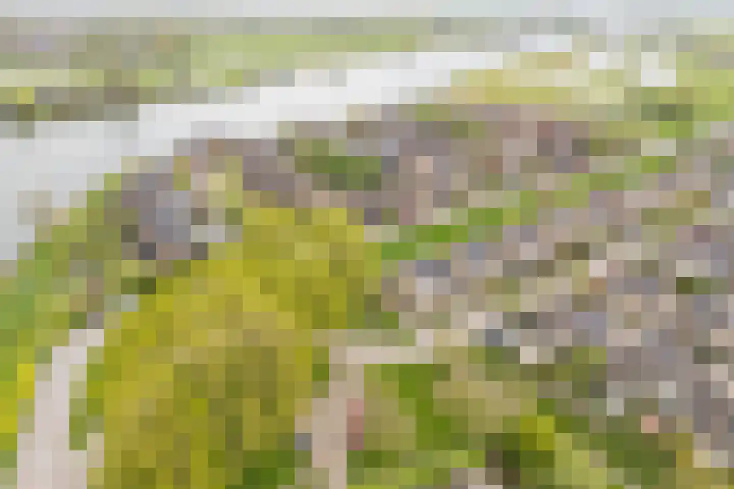 Bovenmonde 33 Nieuwegein thumbnail 68