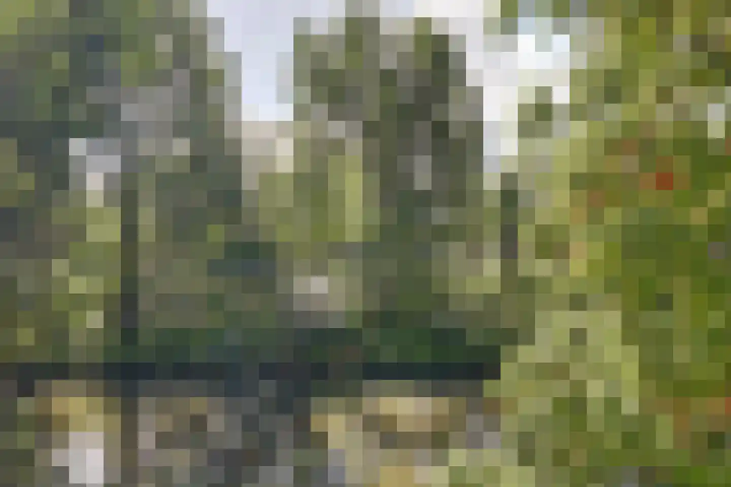 Bovenover 27 Amsterdam thumbnail 29
