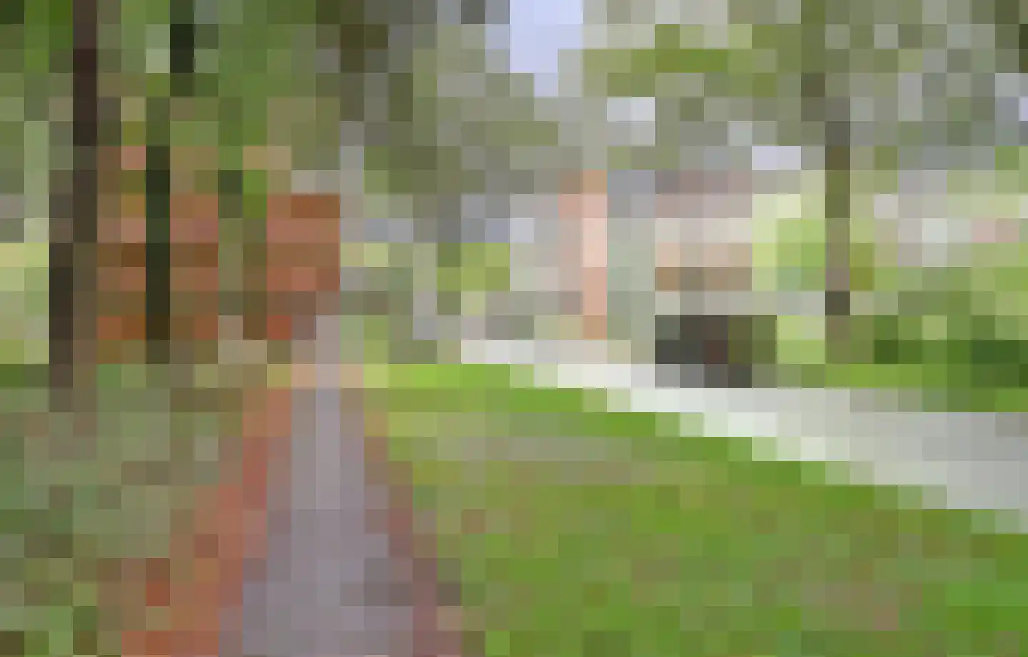 Bovenover 27 Amsterdam thumbnail 30