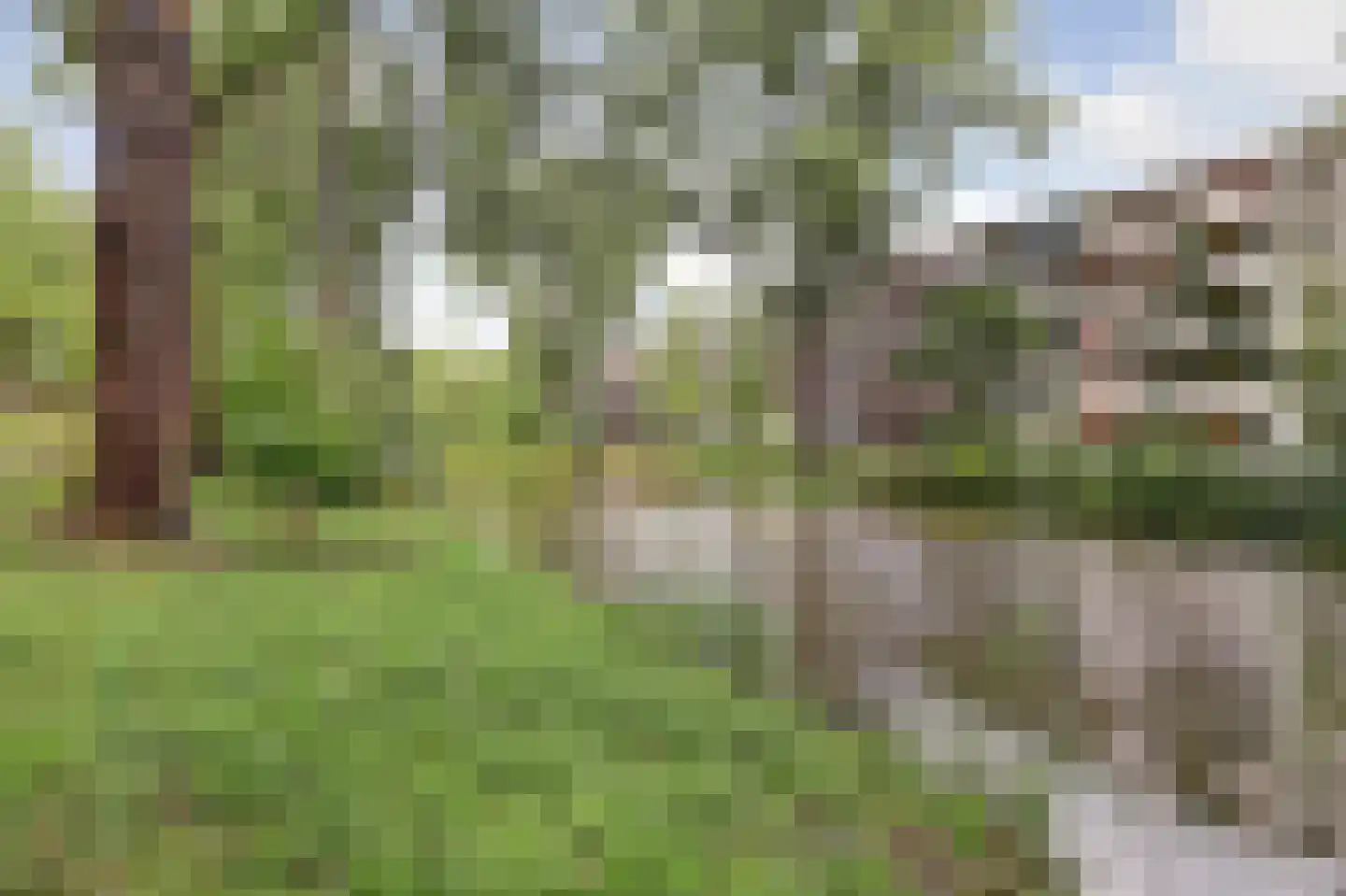 Bovenover 27 Amsterdam thumbnail 31