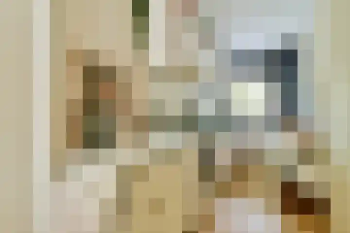 Bovenover 33 Amsterdam thumbnail 11