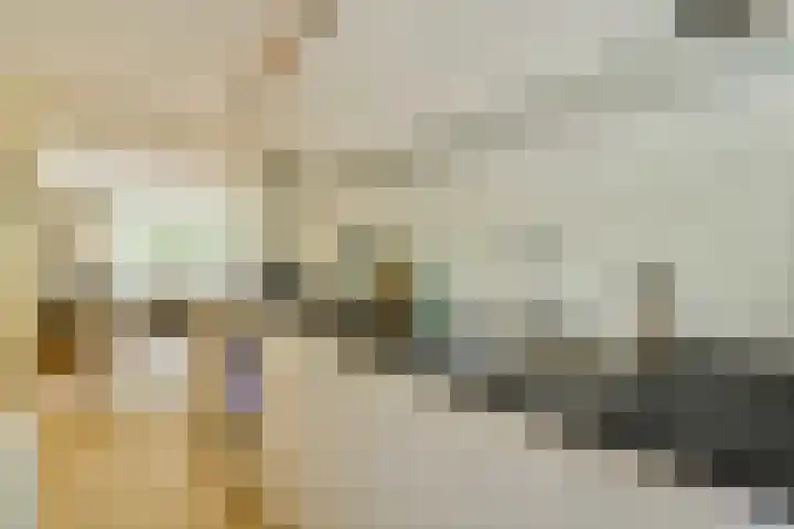 Bovenover 33 Amsterdam thumbnail 12
