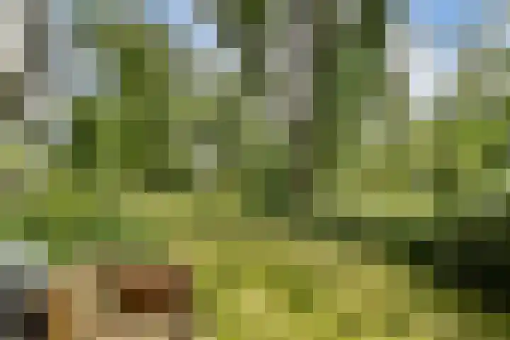 Bovenover 33 Amsterdam thumbnail 15