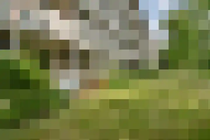 Bovenover 33 Amsterdam thumbnail 16