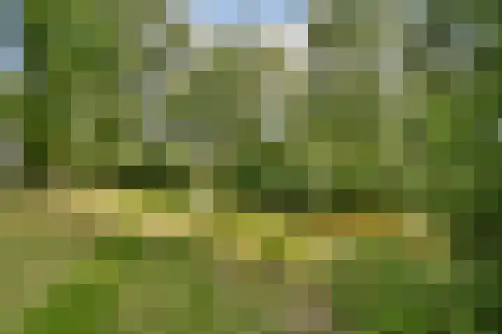 Bovenover 33 Amsterdam thumbnail 17