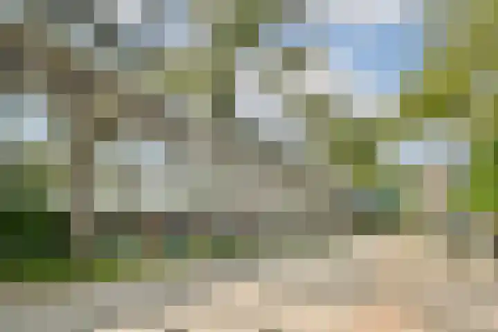Bovenover 33 Amsterdam thumbnail 22