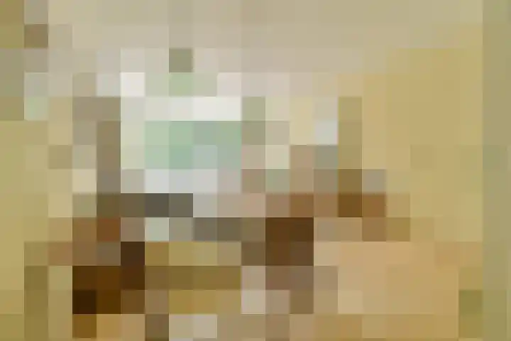 Bovenover 33 Amsterdam thumbnail 6