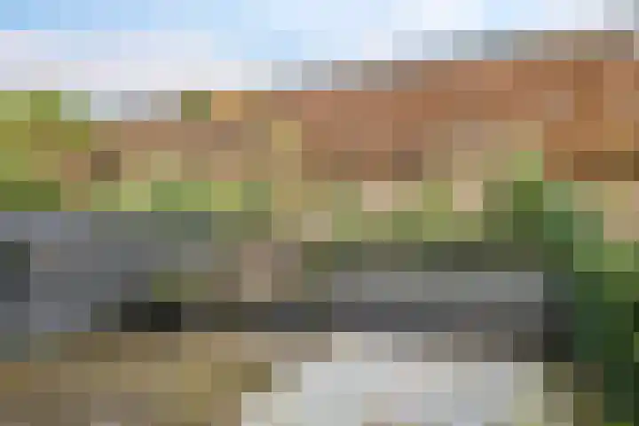 Bovenover 33 Arnhem thumbnail 13