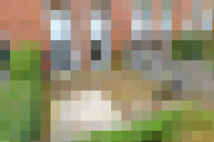 Bovenover 33 Arnhem thumbnail 15