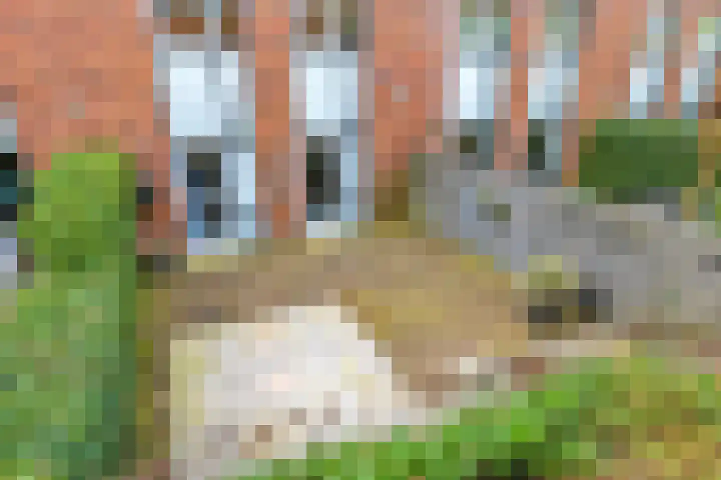 Bovenover 33 Arnhem thumbnail 15