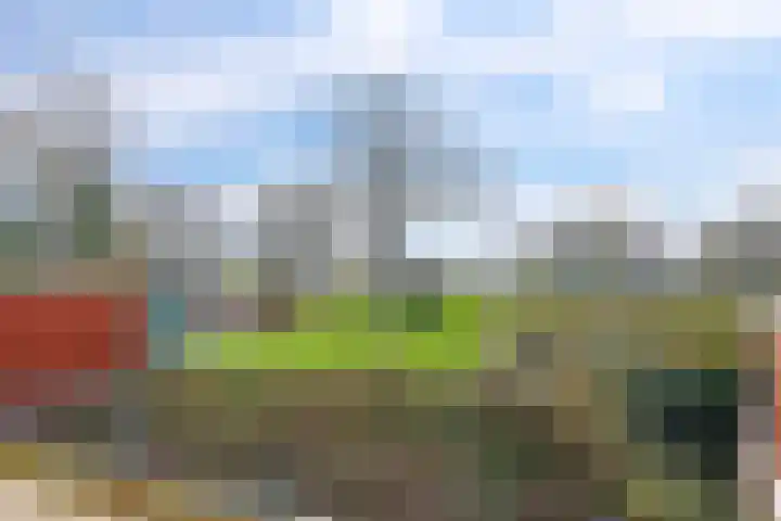 Bovenover 33 Arnhem thumbnail 32
