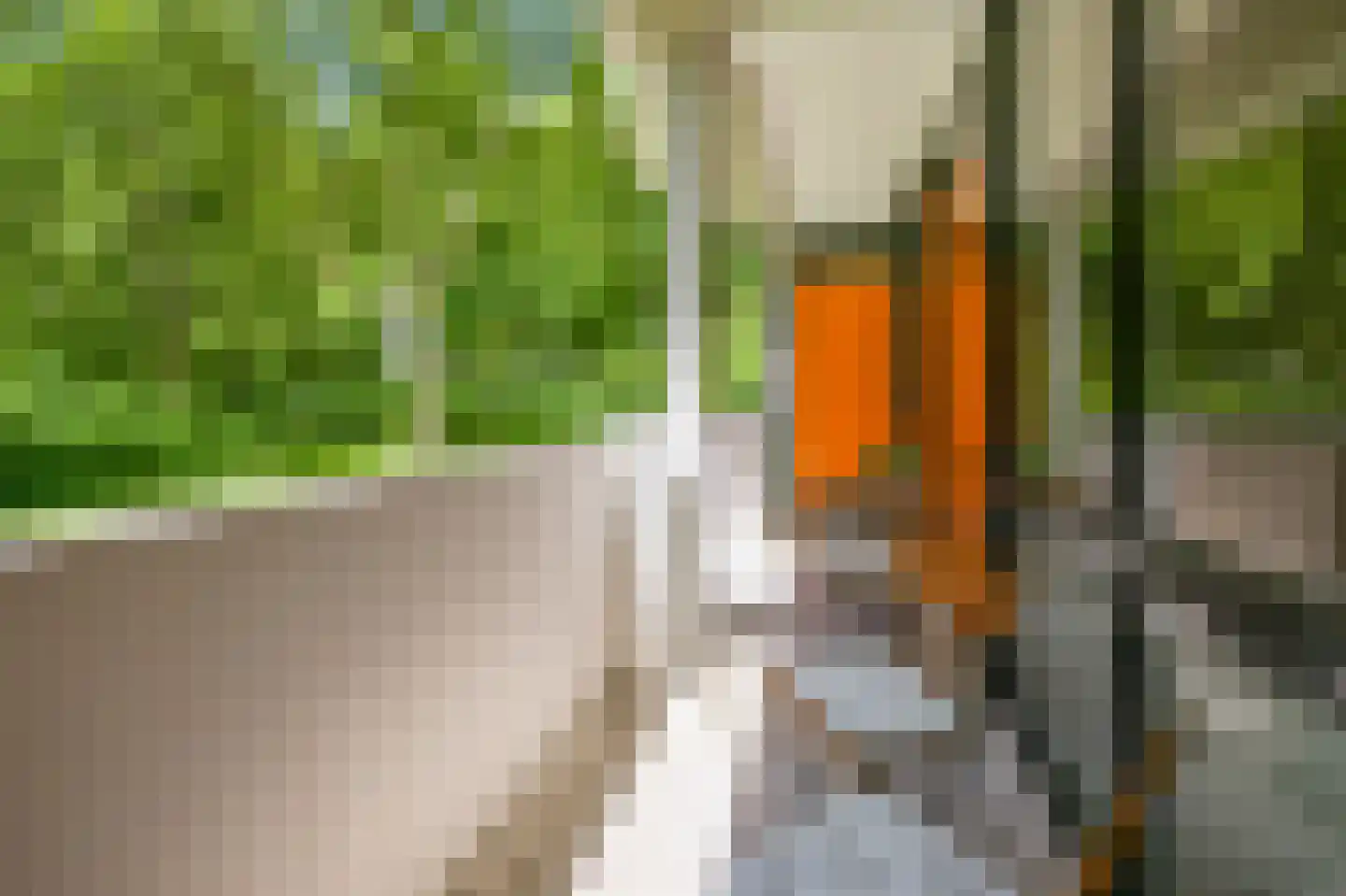 Bovenover 61 Amsterdam thumbnail 16