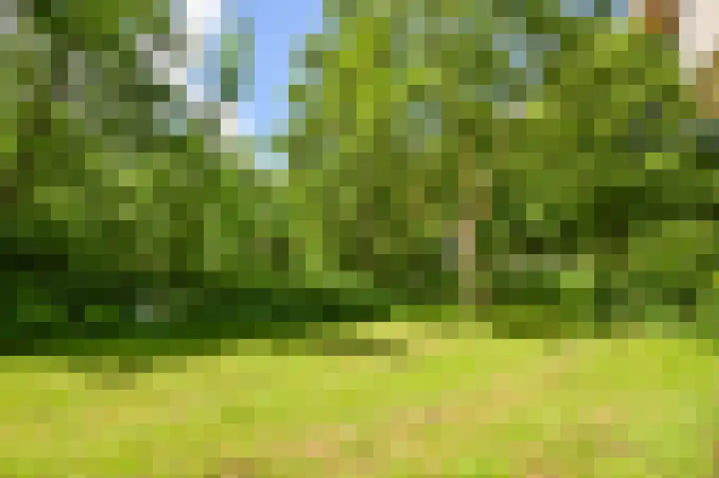 Bovenover 61 Amsterdam thumbnail 17