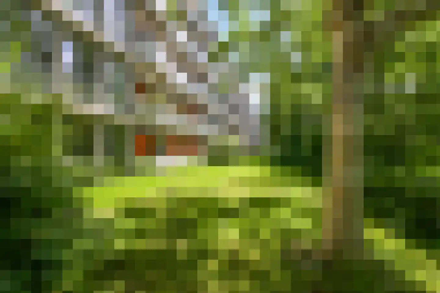 Bovenover 61 Amsterdam thumbnail 33