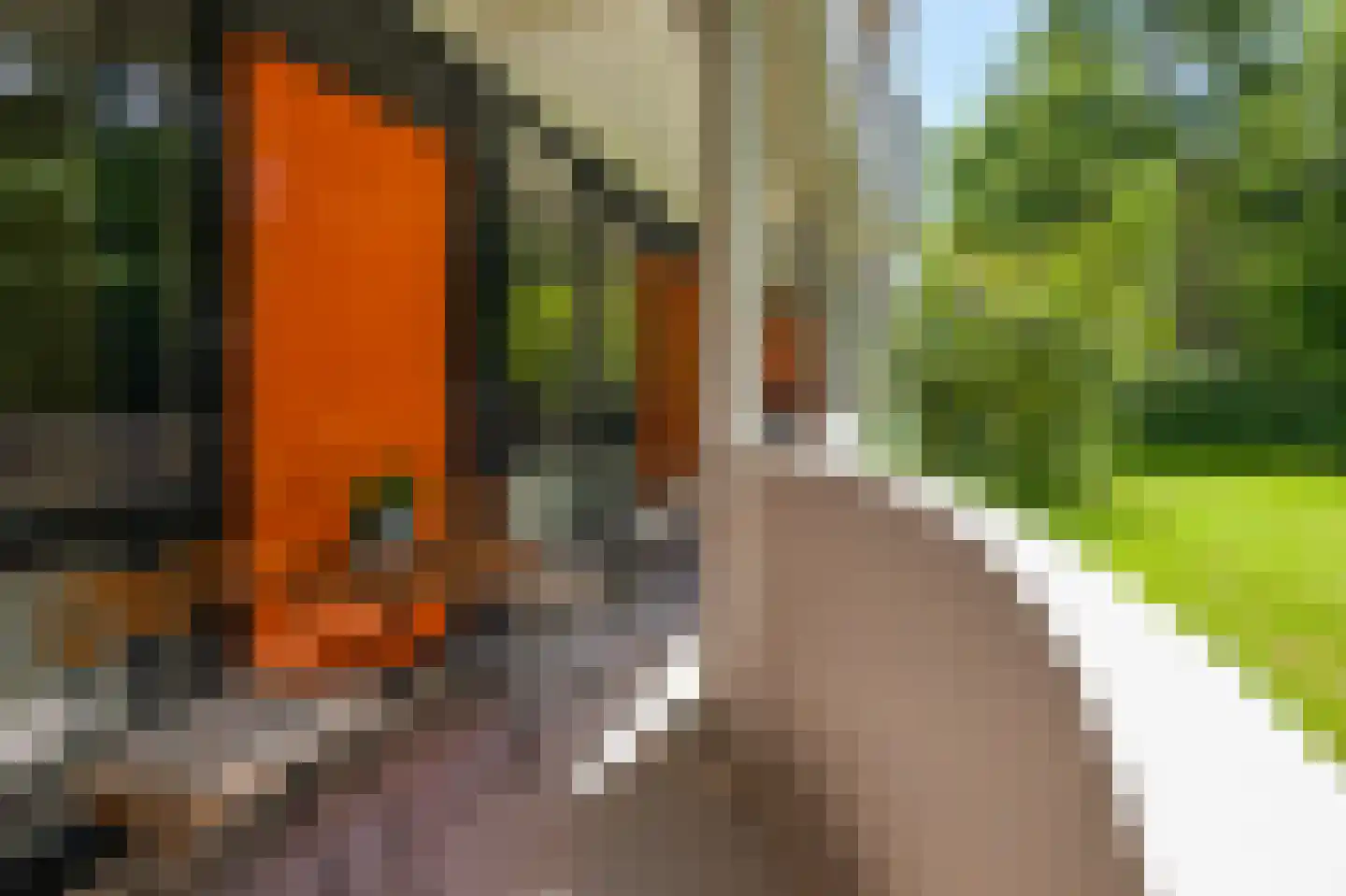 Bovenover 61 Amsterdam thumbnail 5