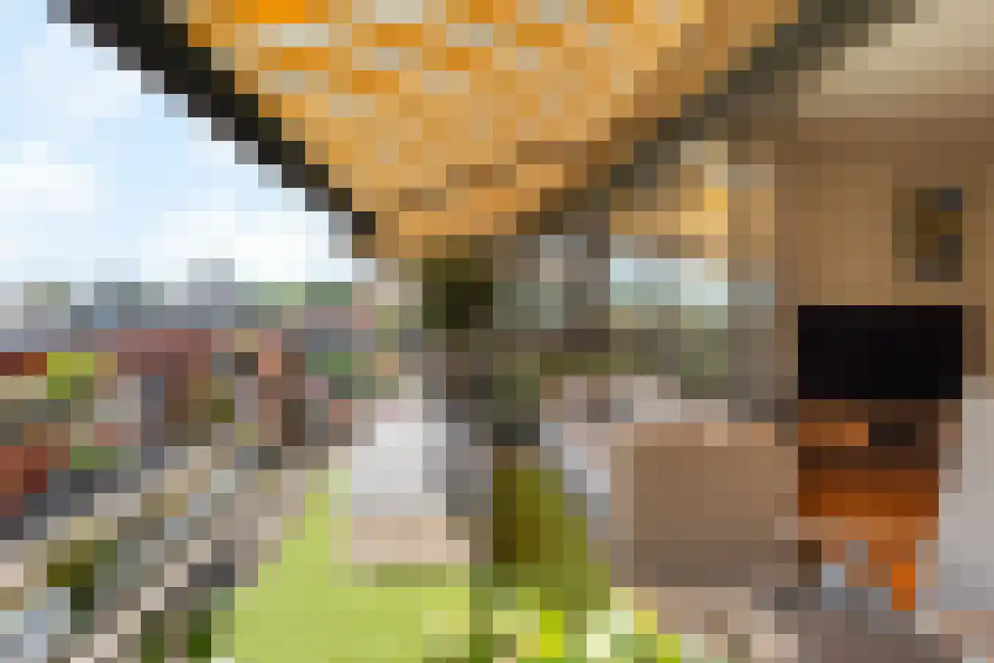 Bovenover 93 Arnhem thumbnail 16