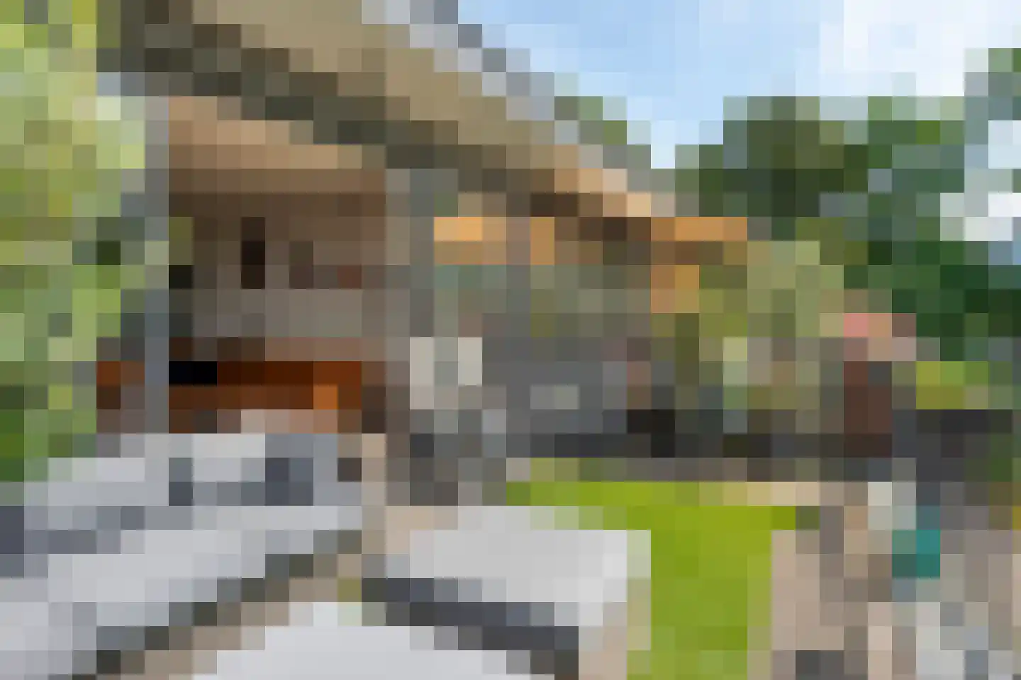 Bovenover 93 Arnhem thumbnail 19