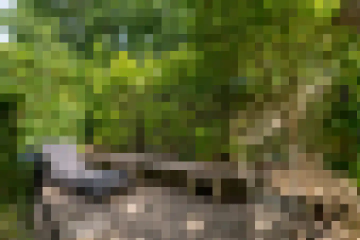 Bovenover 93 Arnhem thumbnail 31