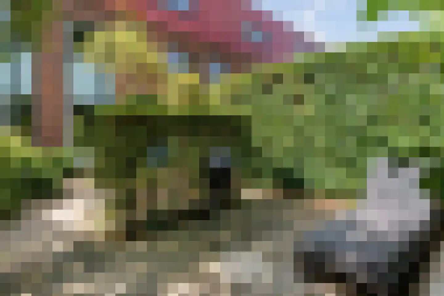 Bovenover 93 Arnhem thumbnail 32