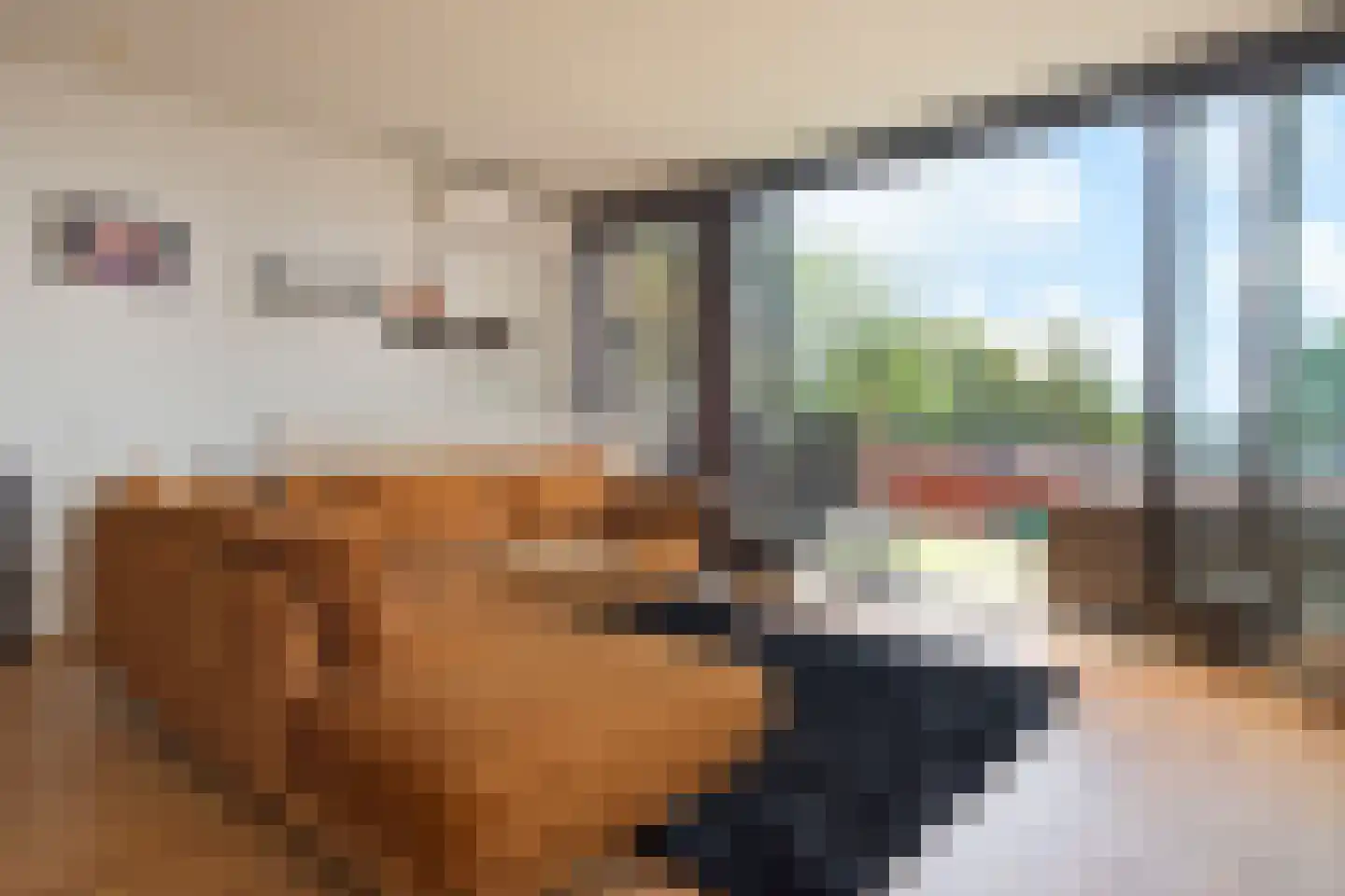 Bovenover 93 Arnhem thumbnail 6