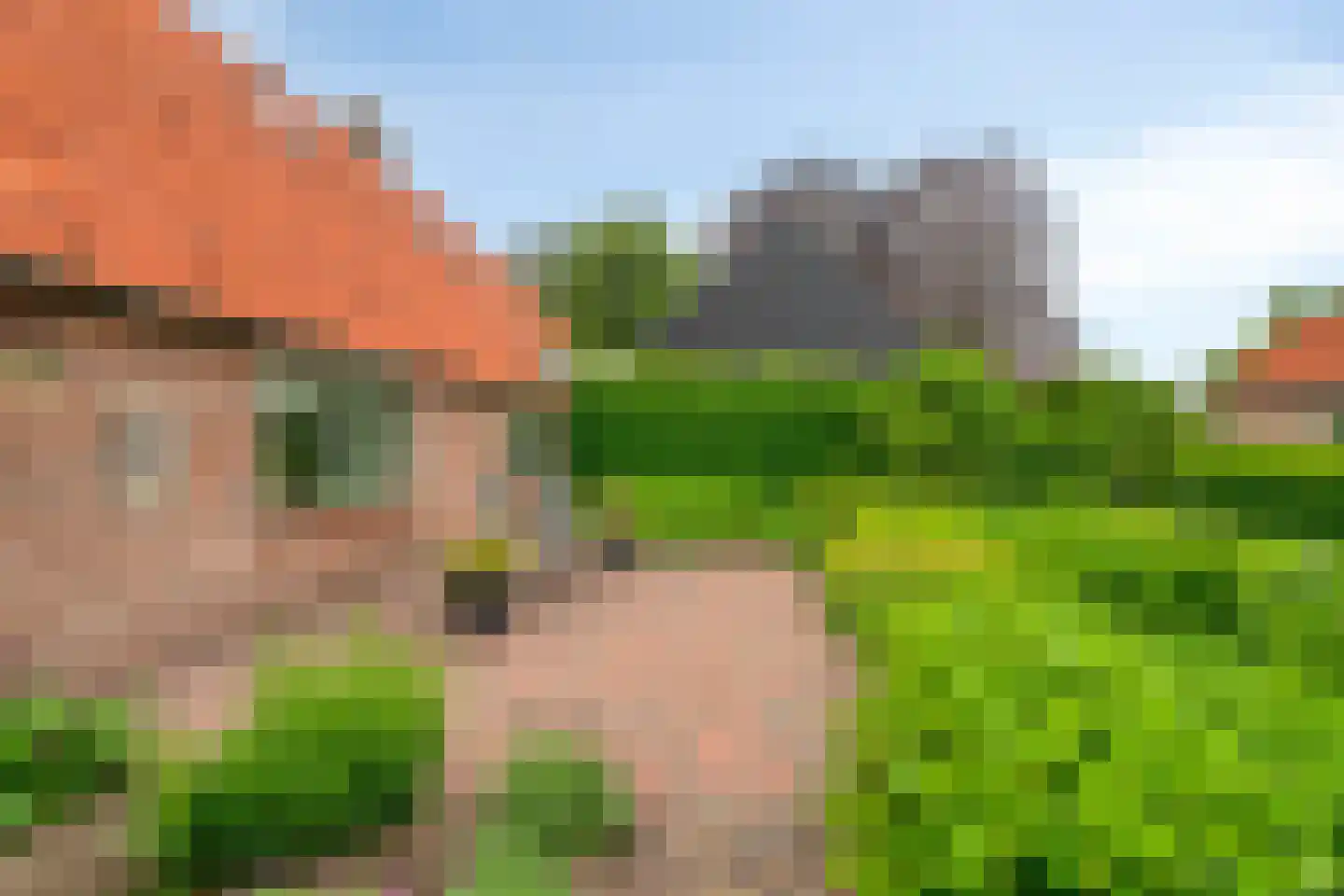 Bovenpad 26 A Oldebroek thumbnail 13