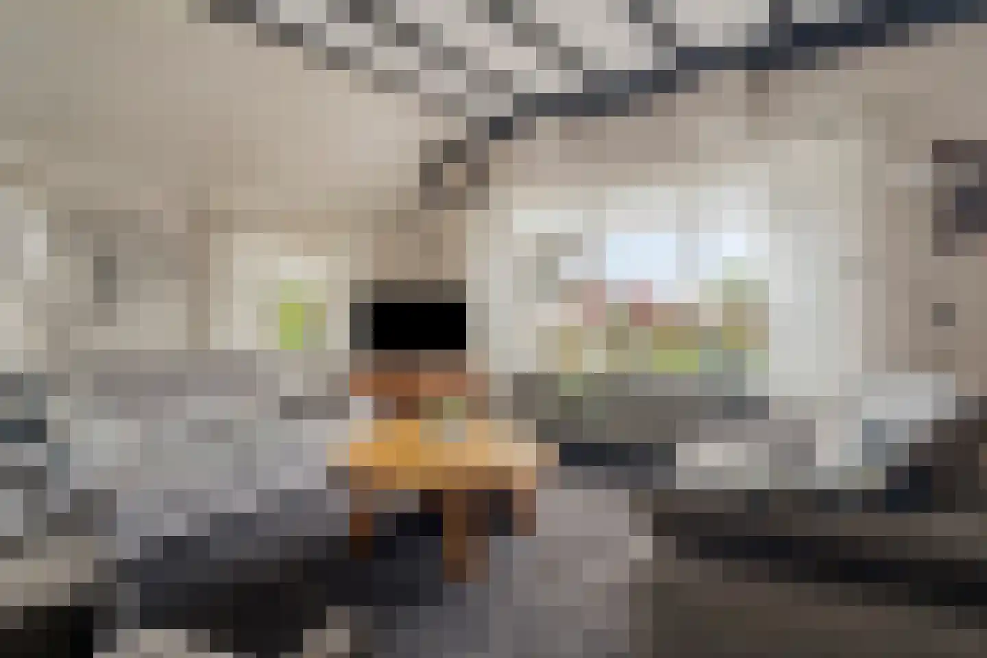 Bovenpad 26 A Oldebroek thumbnail 16