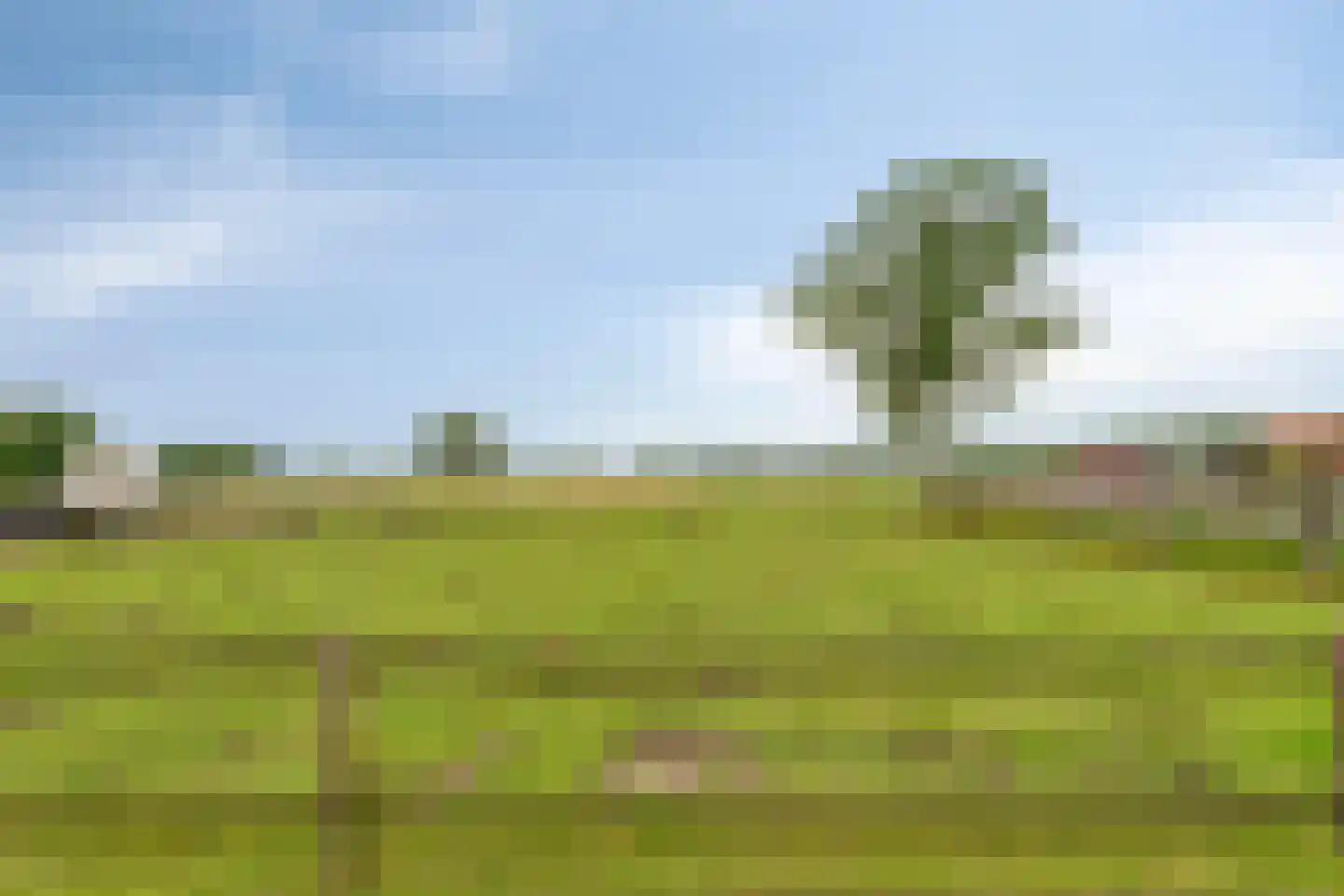 Bovenpad 26 A Oldebroek thumbnail 37