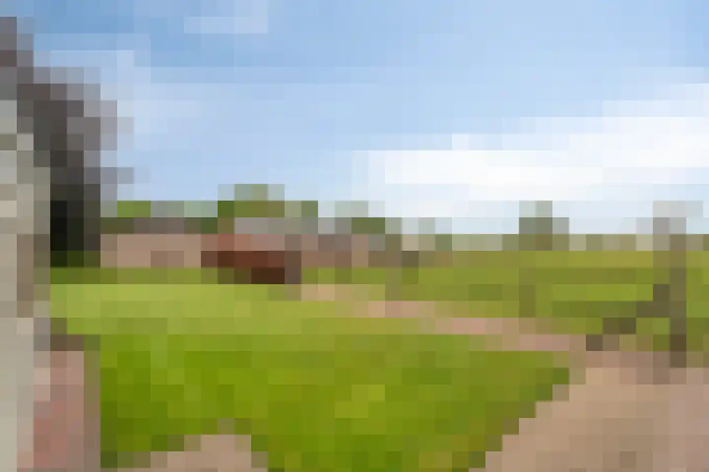 Bovenpad 26 A Oldebroek thumbnail 5