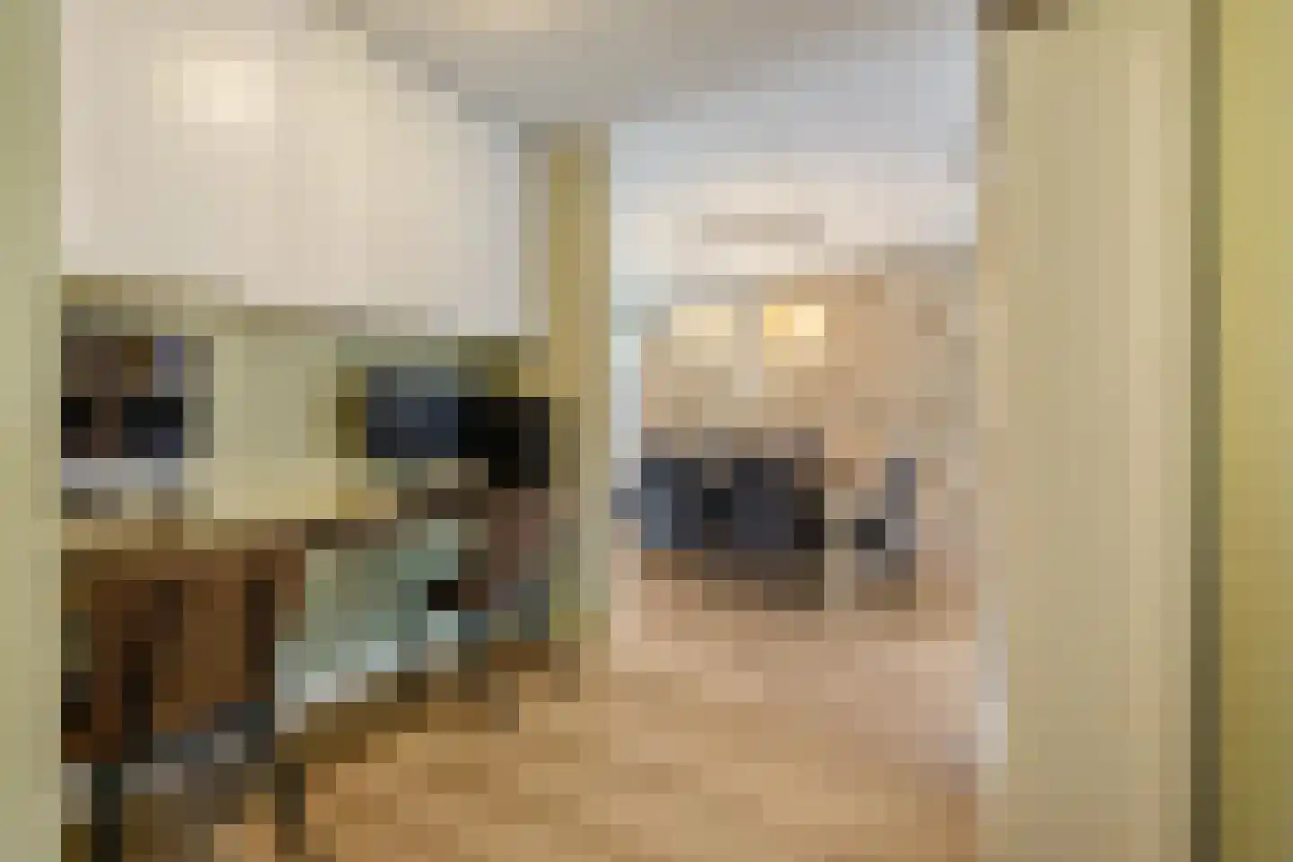 Bovenpad 30 Slochteren thumbnail 18