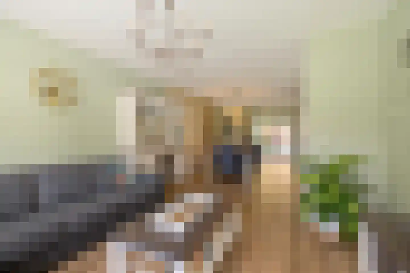 Bovenpad 30 Slochteren thumbnail 4