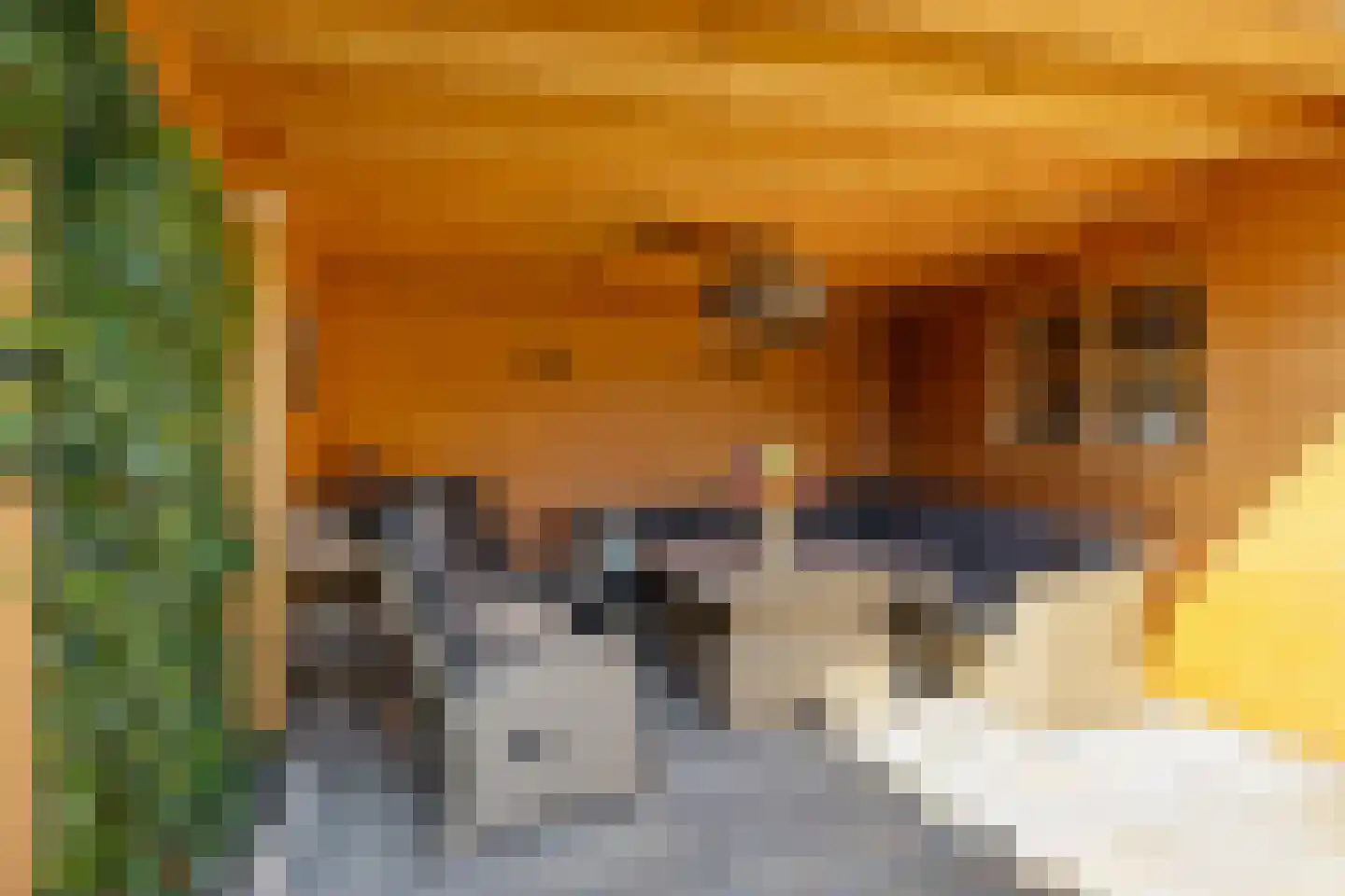 Bovenpad 30 Slochteren thumbnail 46