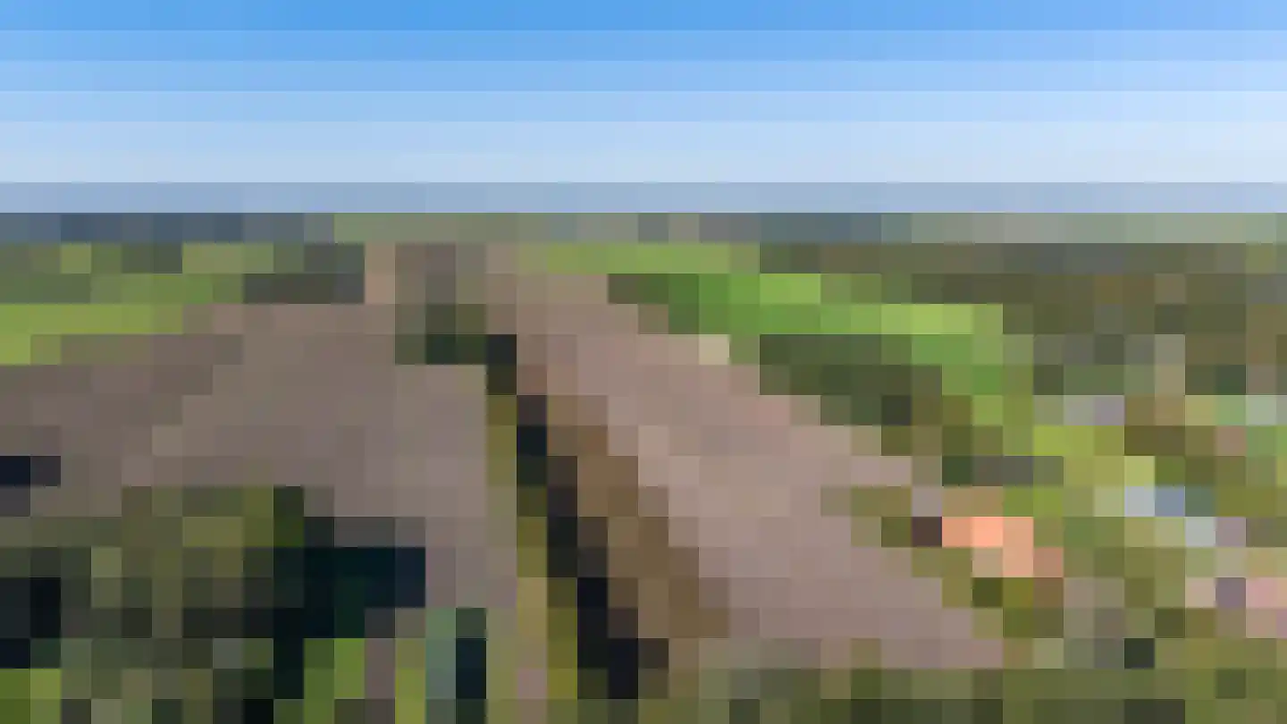Bovenpad 30 Slochteren thumbnail 54