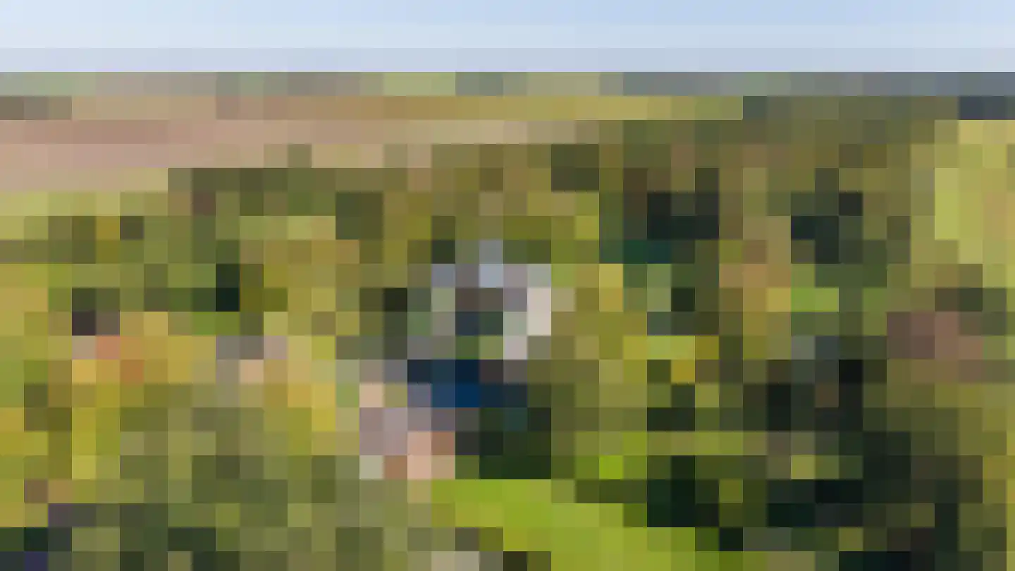 Bovenpad 30 Slochteren thumbnail 55