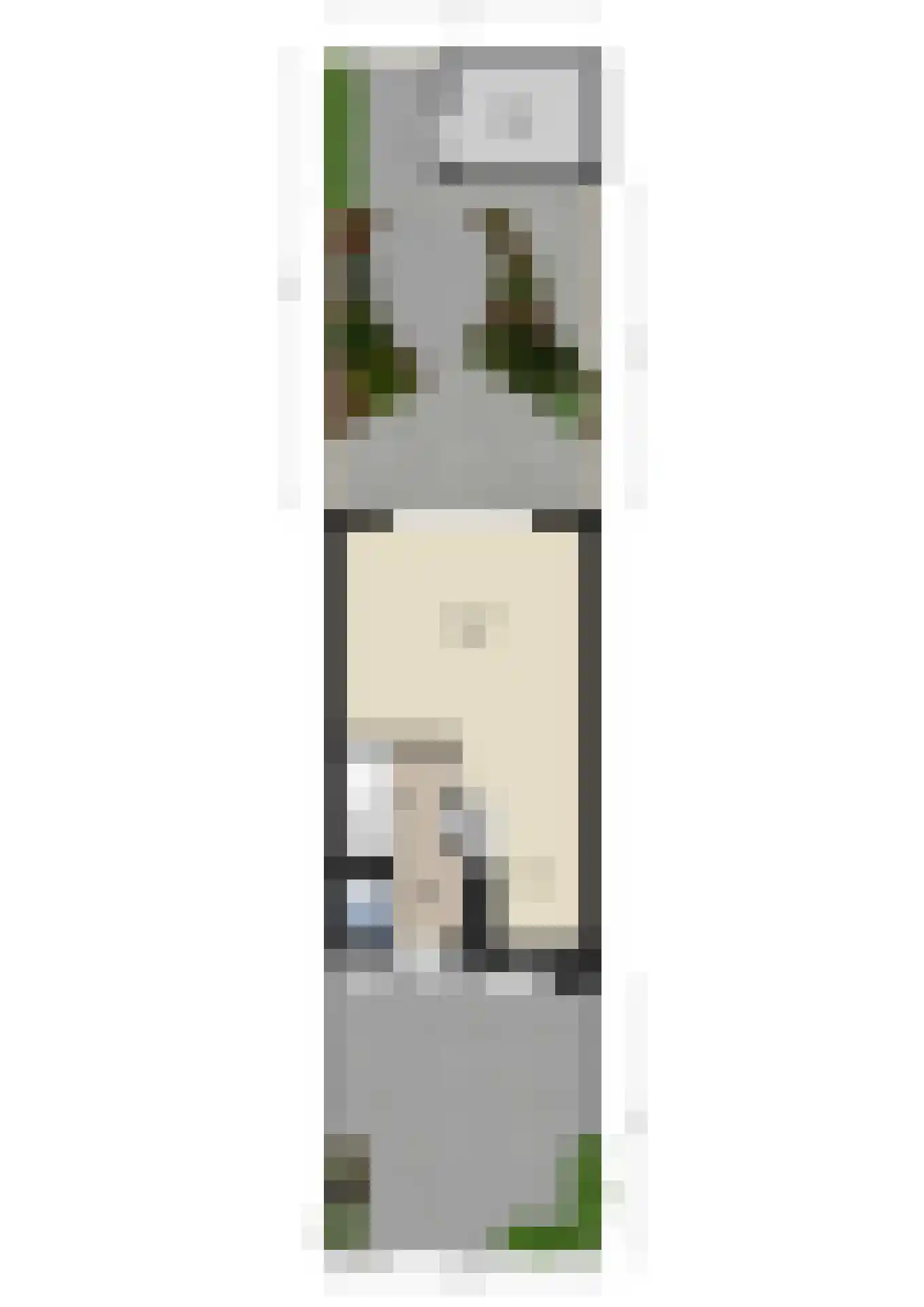 Bovenpolder 49 De Meern thumbnail 52