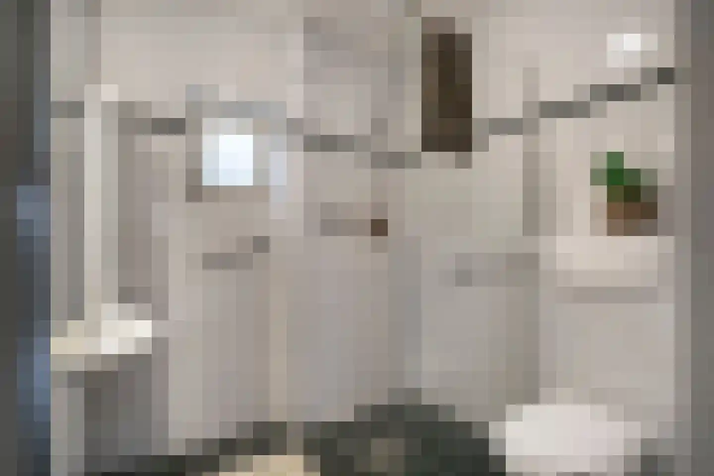 Bovenpolder 49 De Meern thumbnail 7