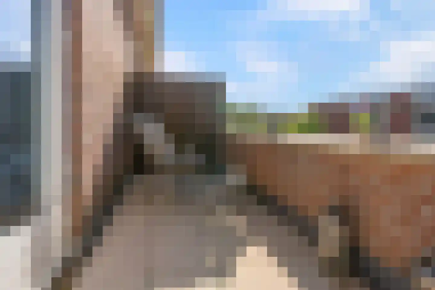Bovenpolder 67 De Meern thumbnail 24