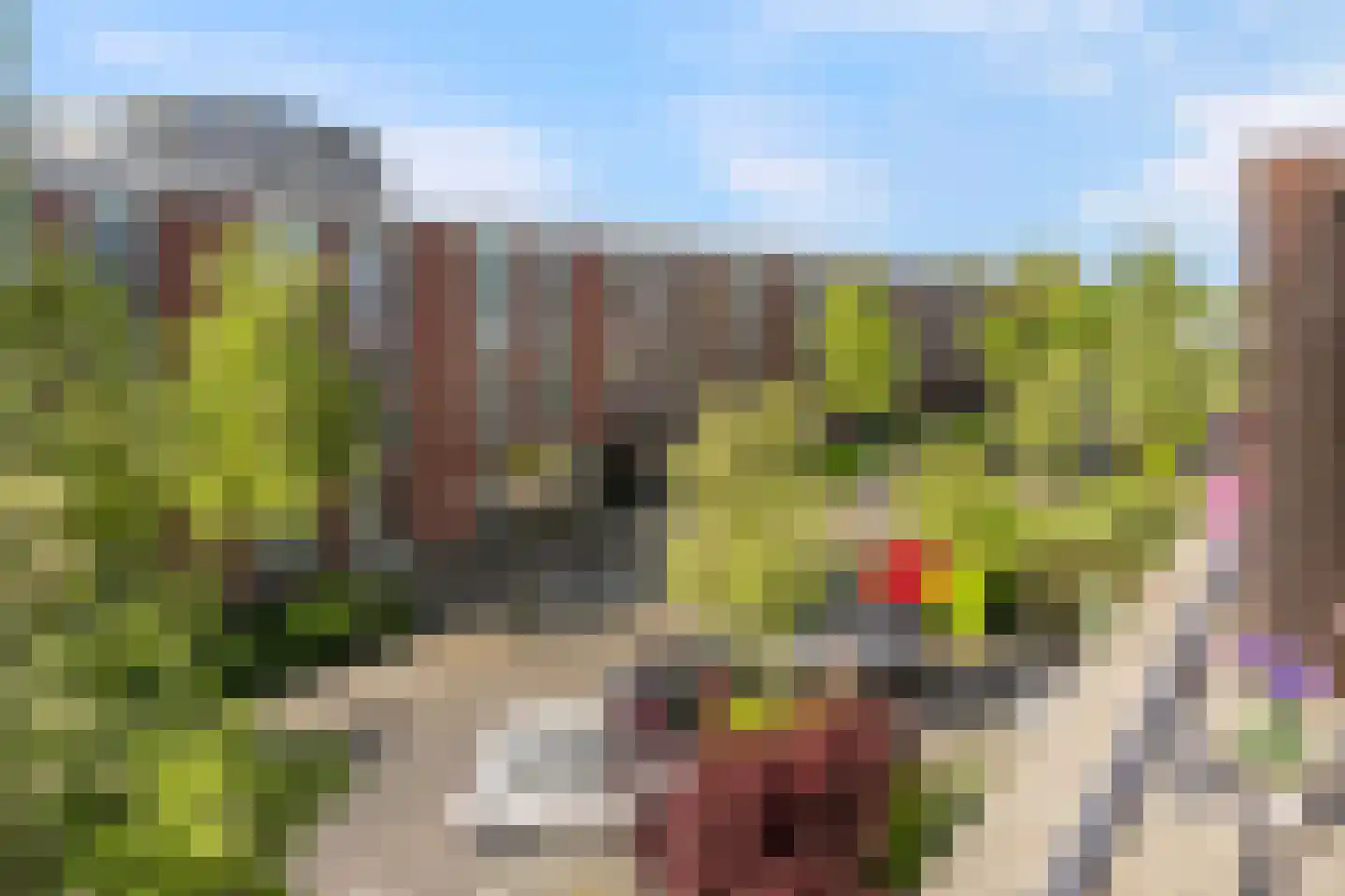 Bovenpolder 67 De Meern thumbnail 25