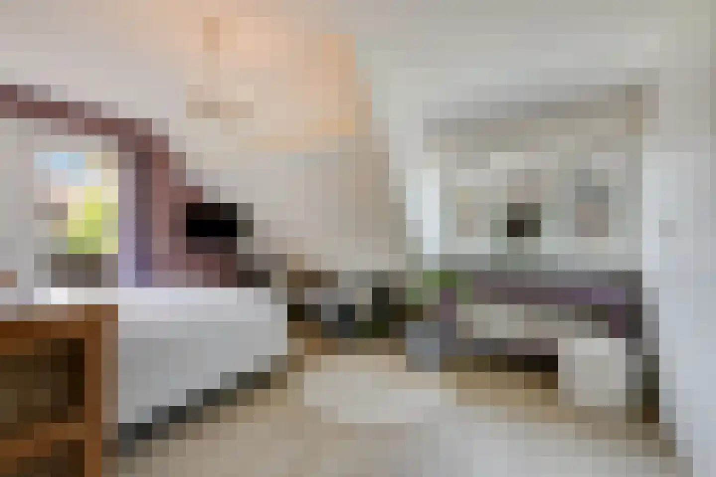 Bovenschap 8 Overasselt thumbnail 20