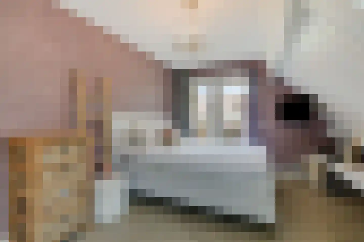 Bovenschap 8 Overasselt thumbnail 21