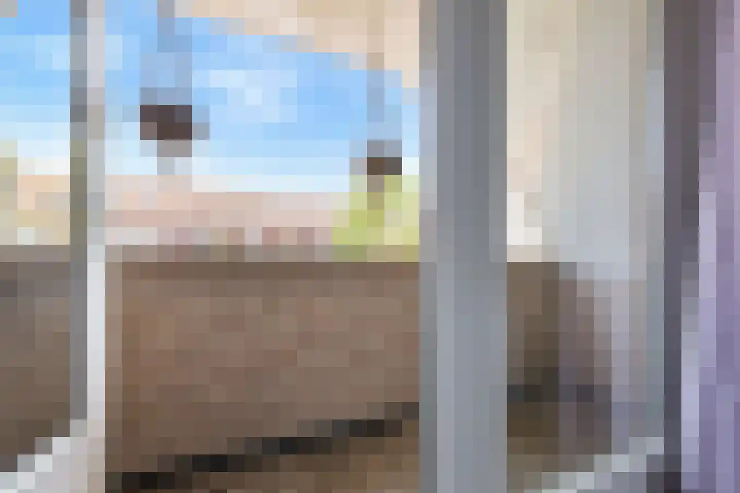 Bovenschap 8 Overasselt thumbnail 22