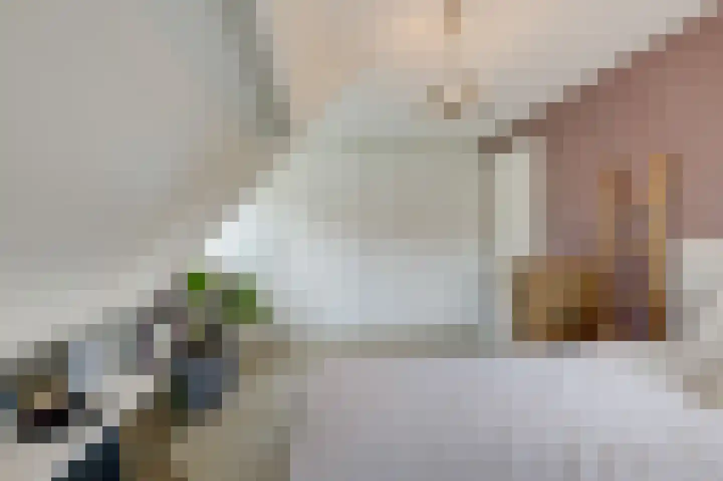 Bovenschap 8 Overasselt thumbnail 23