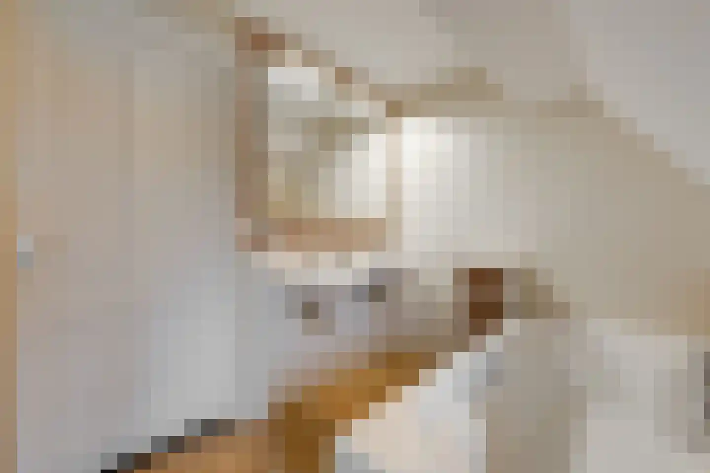 Bovenschap 8 Overasselt thumbnail 27