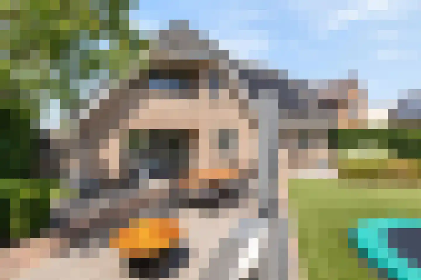 Bovenschap 8 Overasselt thumbnail 37