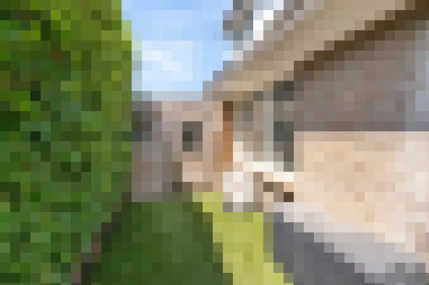 Bovenschap 8 Overasselt thumbnail 38